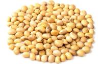 sojaboontjes